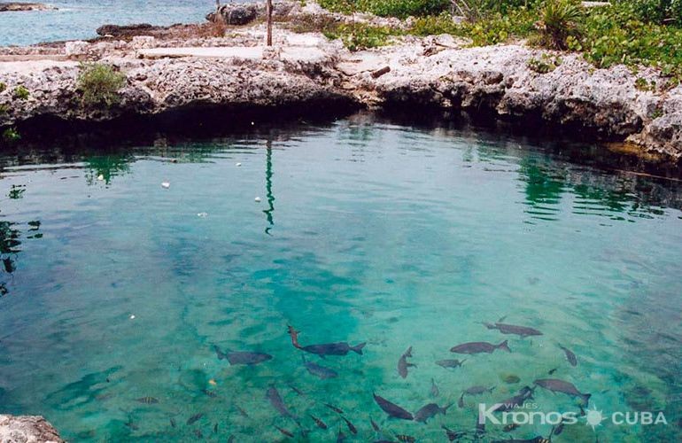 Cueva de los peces located in Caleta Buena, Bay of pigs, Cuba.